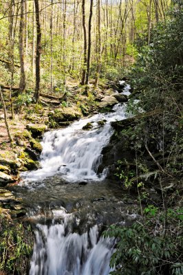 Image-5.jpg