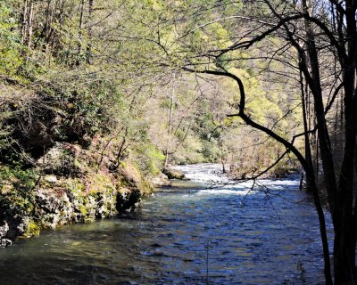 Image-8.jpg