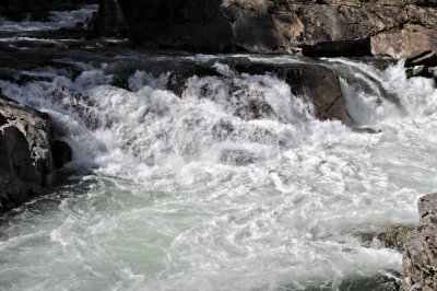 Image-10.jpg