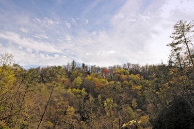Image-12.jpg