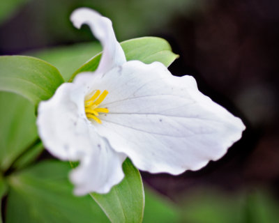 Image-18.jpg