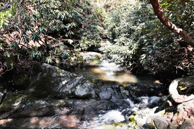 Image-50.jpg