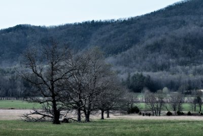 Day 2 -- Cades Cove Area