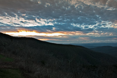 Image-1.jpg