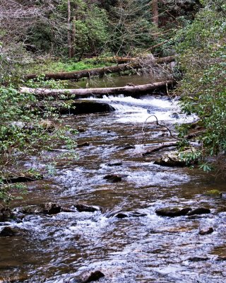 Image-33.jpg