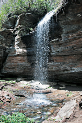 Image-36.jpg