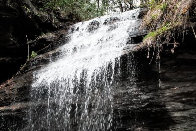 Image-47.jpg