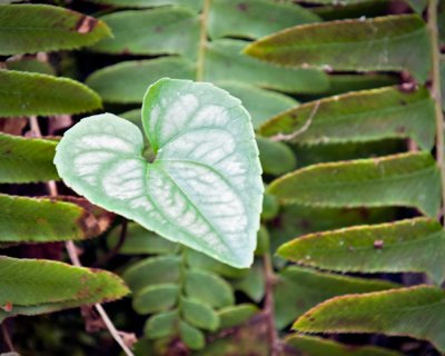 Image-50.jpg