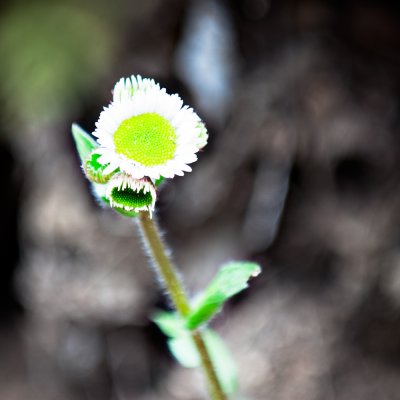 Image-51.jpg