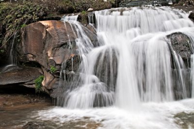 Image-55.jpg