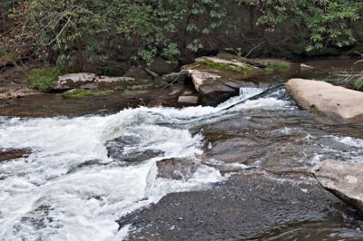 Image-57.jpg