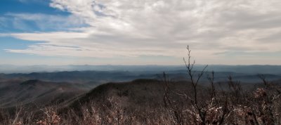 Image-6.jpg