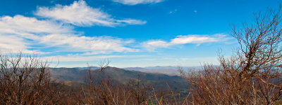 Image-8.jpg