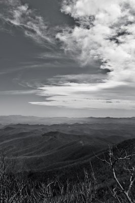 Image-10.jpg