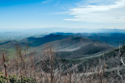 Image-11.jpg