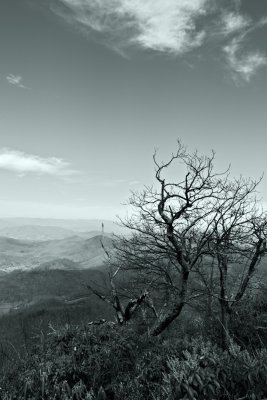 Image-15.jpg