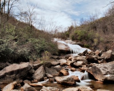 Day 4 -- Mount Pisgah Area