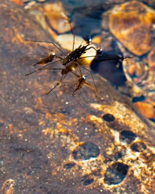 Image-56.jpg