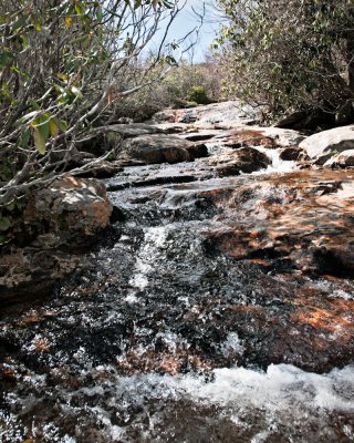 Image-79.jpg