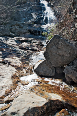 Image-93.jpg