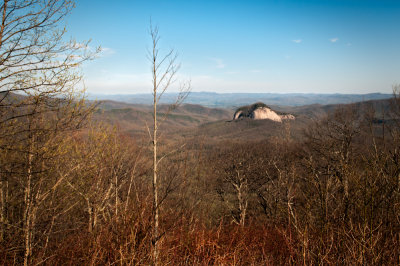 Image-100.jpg