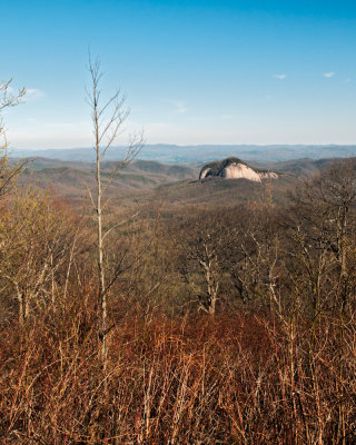 Image-101.jpg