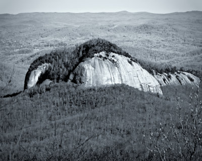 Image-103.jpg