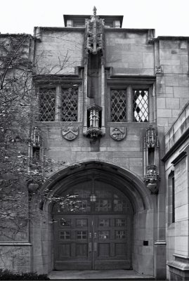 Image-2.jpg
