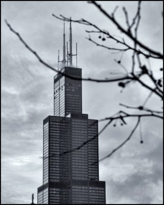 Image-7.jpg