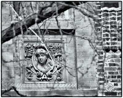 Image-10.jpg
