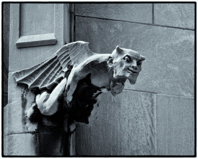 Image-37.jpg