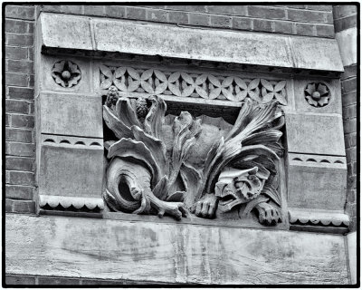 Image-84.jpg