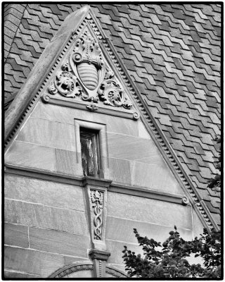 Image-96.jpg