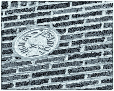 Image-101.jpg
