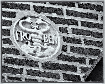 Image-103.jpg