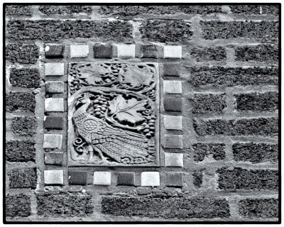 Image-106.jpg