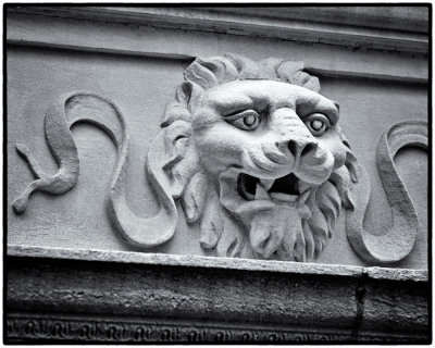 Image-109.jpg