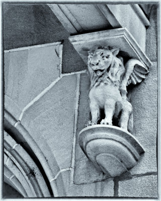 Image-110.jpg