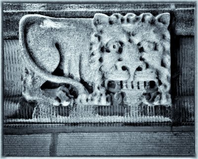 Image-136.jpg