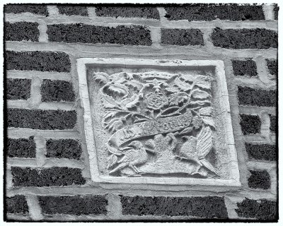 Image-149.jpg