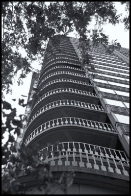 Image-184.jpg