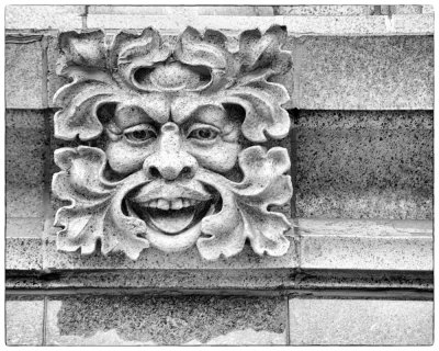 Image-186.jpg
