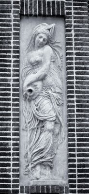 Image-191.jpg