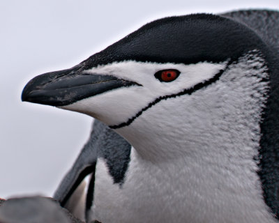 g4/93/843393/3/139659478.JxQKQ24I.jpg
