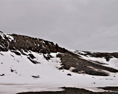 g4/93/843393/3/139659791.cZdVVZ9d.jpg