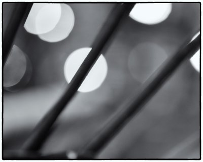 Image-6 new.jpg
