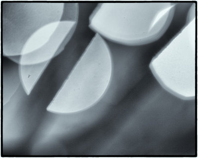 Image-7 new.jpg