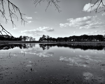 g4/93/843393/3/142044551.Uh9SnP1h.jpg