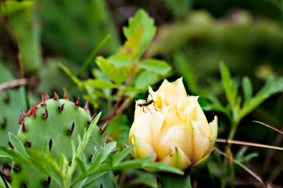 20110623-DSC_4398 edited.jpg