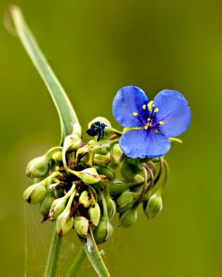 20110623-DSC_4455 edited.jpg